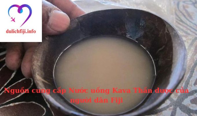 Nguồn cung cấp Nước uống Kava Thần dược của người dân Fiji